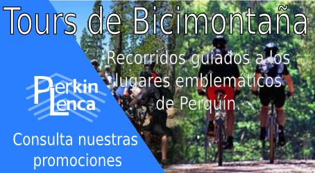 banner_bici.jpg